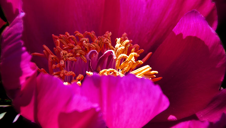 ביטוח ספורט חורף – טיפים חשובים שאתם חייבים להכיר